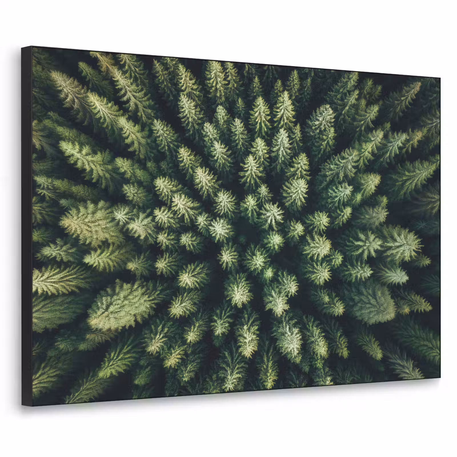 Art Frame - Bomen - Naaldwoud - Structuur — 1