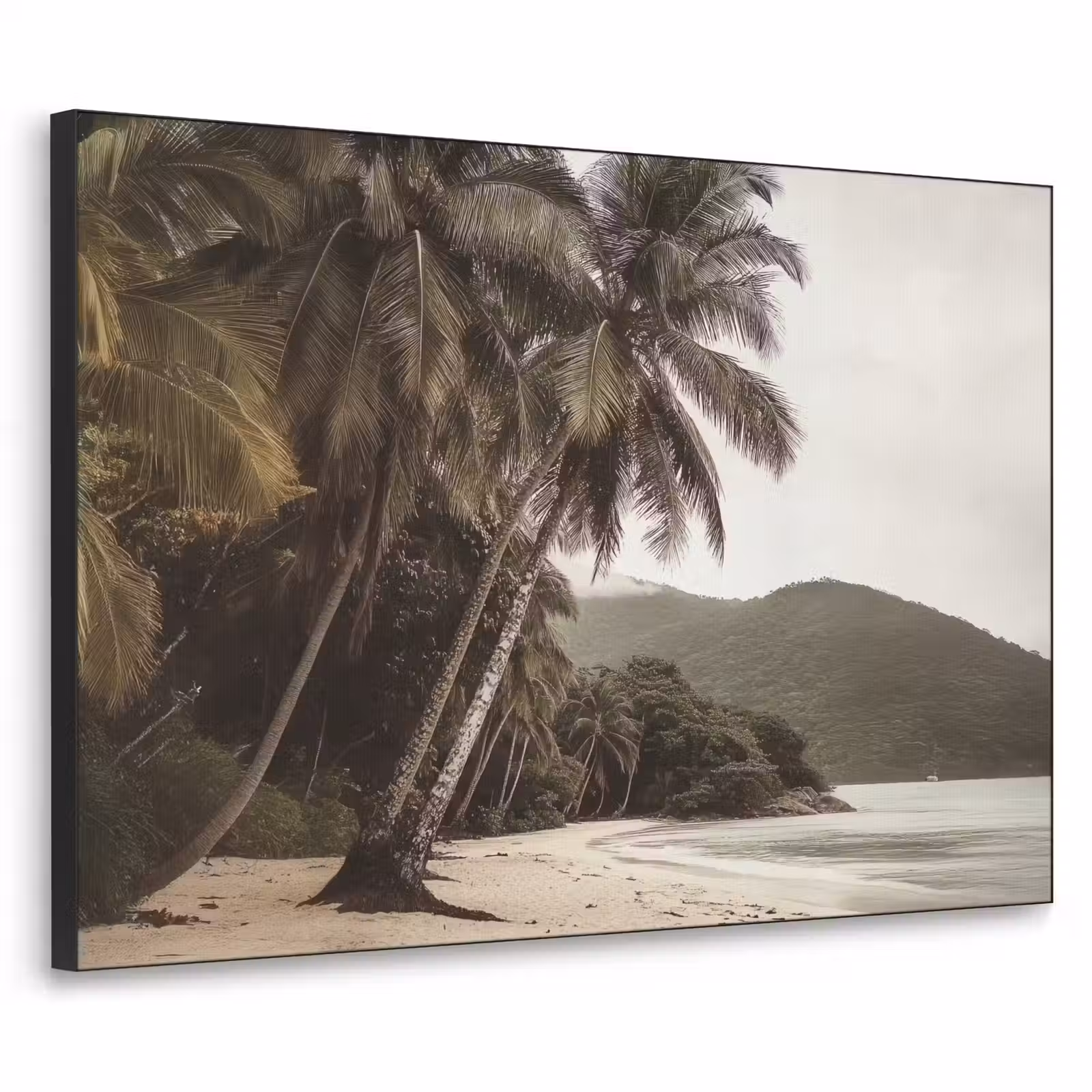 Art Frame - Eiland - Palmboom - Zee — 1