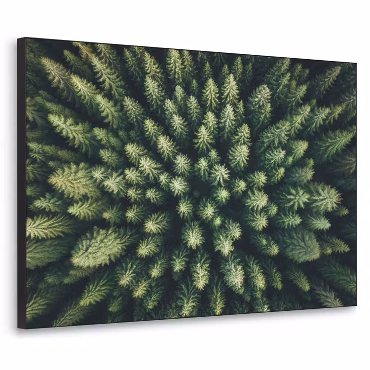 Art Frame - Bomen - Naaldwoud - Structuur — 1