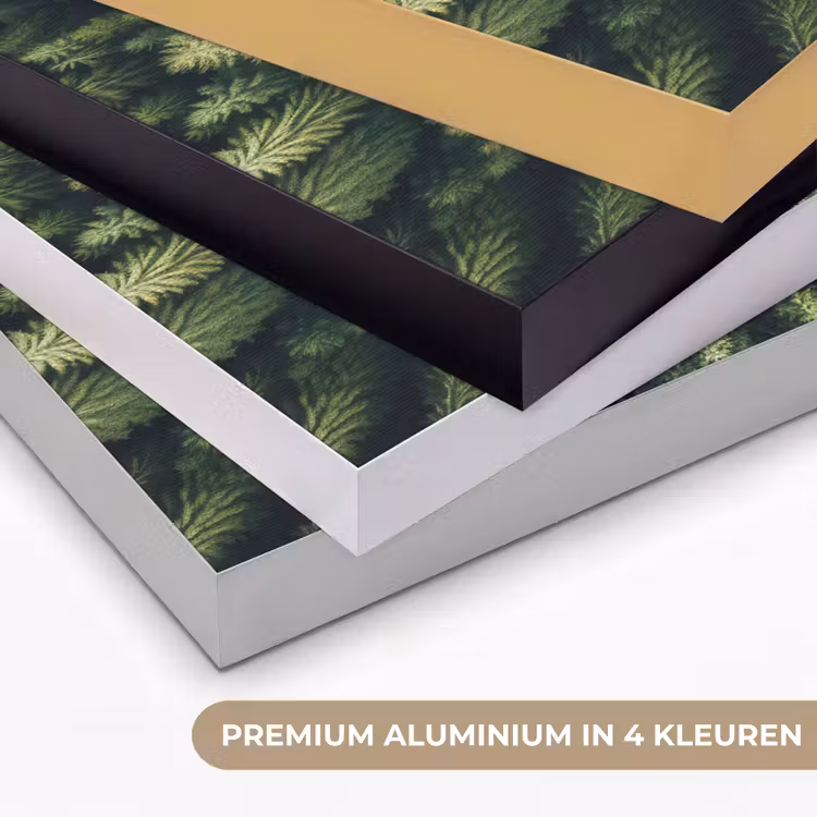 Art Frame - Bomen - Naaldwoud - Structuur — 2