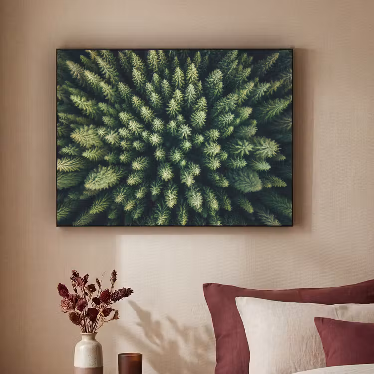 Art Frame - Bomen - Naaldwoud - Structuur — 3