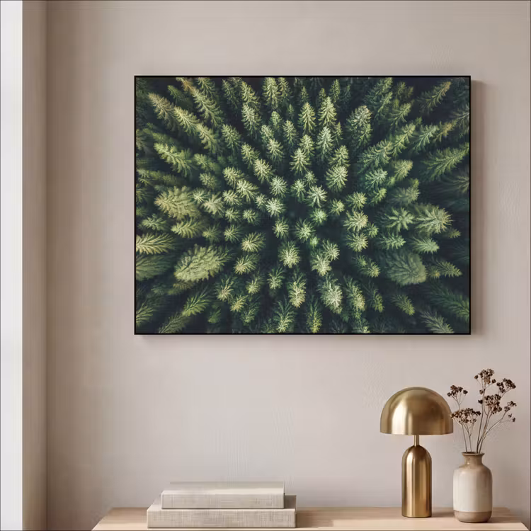 Art Frame - Bomen - Naaldwoud - Structuur — 5