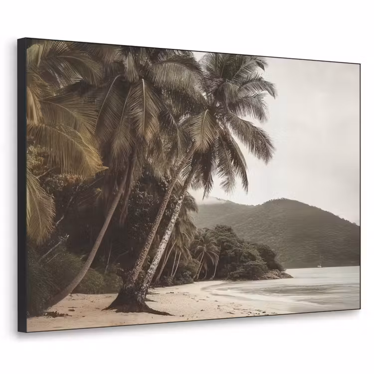 Art Frame - Eiland - Palmboom - Zee — 1