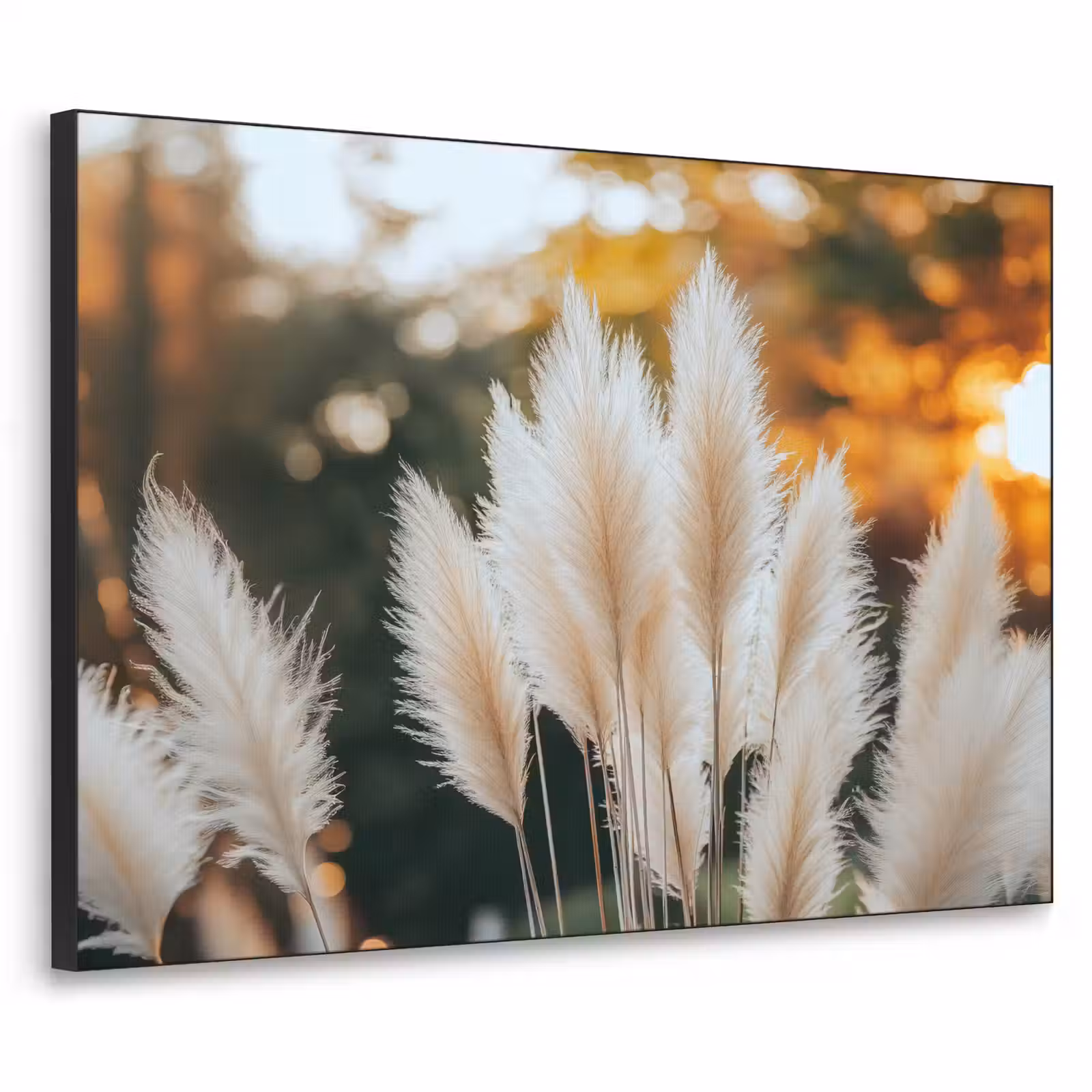 Art Frame - Pampasgras - Pluimen - Sierlijk — 1