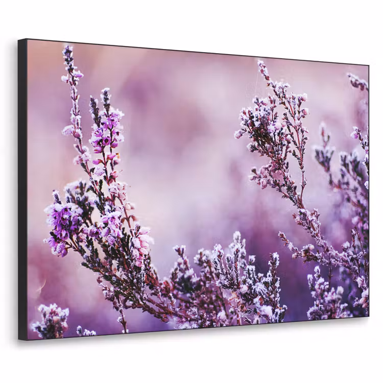 Art Frame - Lavendel - Winter - Bloemen - Paars — 1