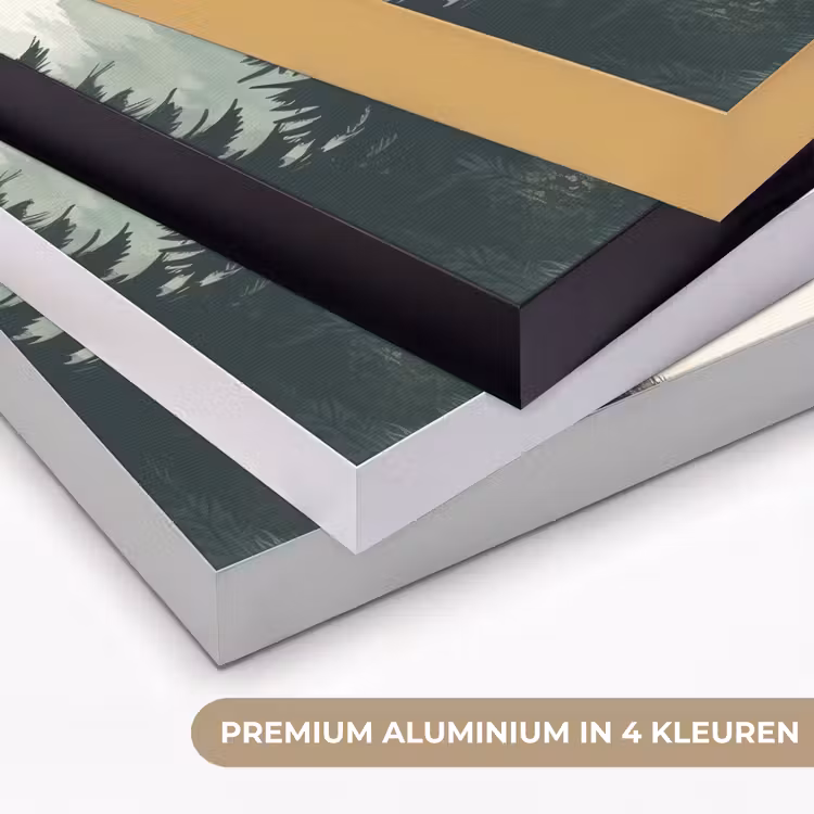 Art Frame - Pad - Bomen - Bos - Illustratie — 2