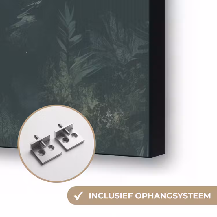 Art Frame - Pad - Bomen - Bos - Illustratie — 6