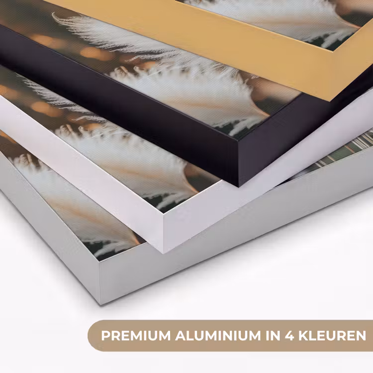 Art Frame - Pampasgras - Pluimen - Sierlijk — 2