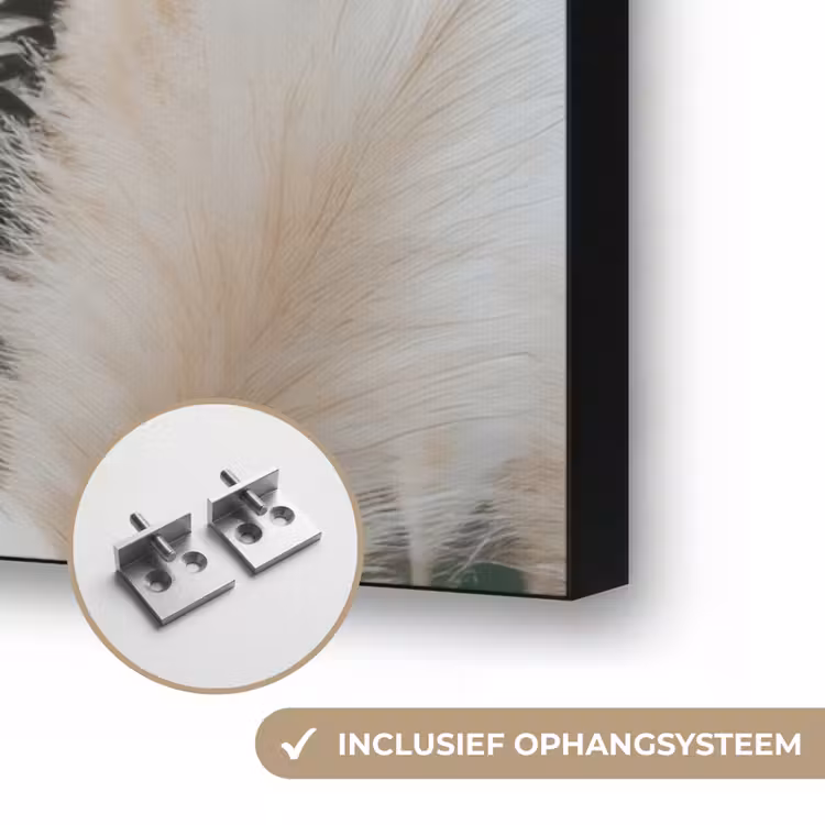 Art Frame - Pampasgras - Pluimen - Sierlijk — 6