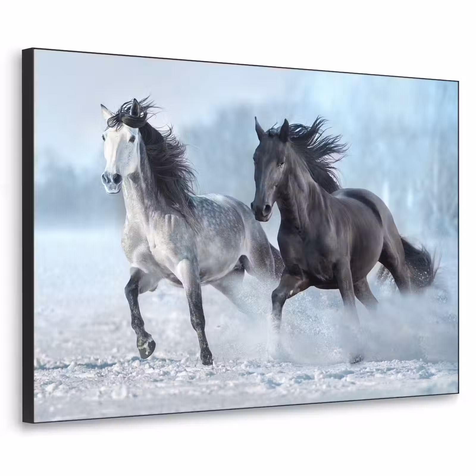 Art Frame - Paarden - Winter - Dieren - Natuur - Sneeuw — 1