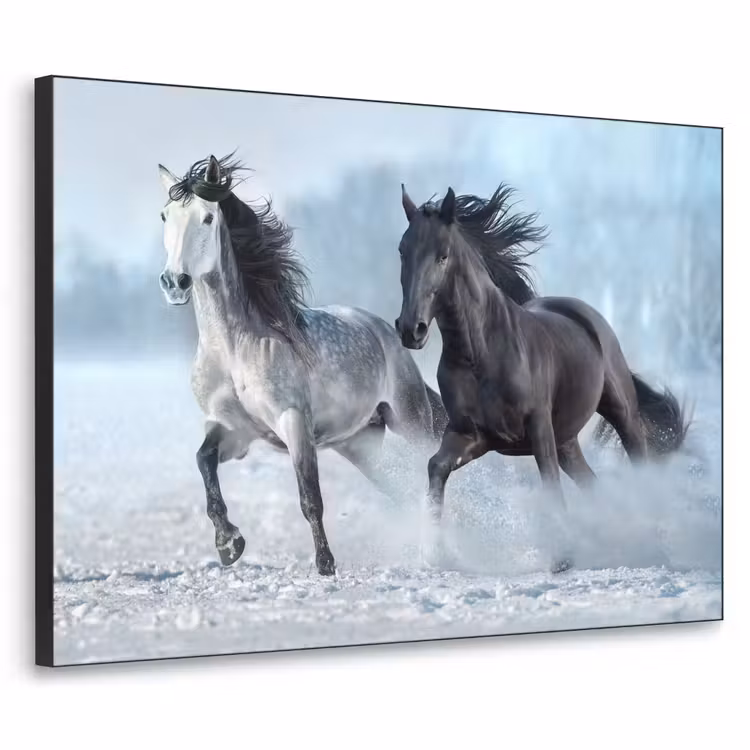 Art Frame - Paarden - Winter - Dieren - Natuur - Sneeuw — 1
