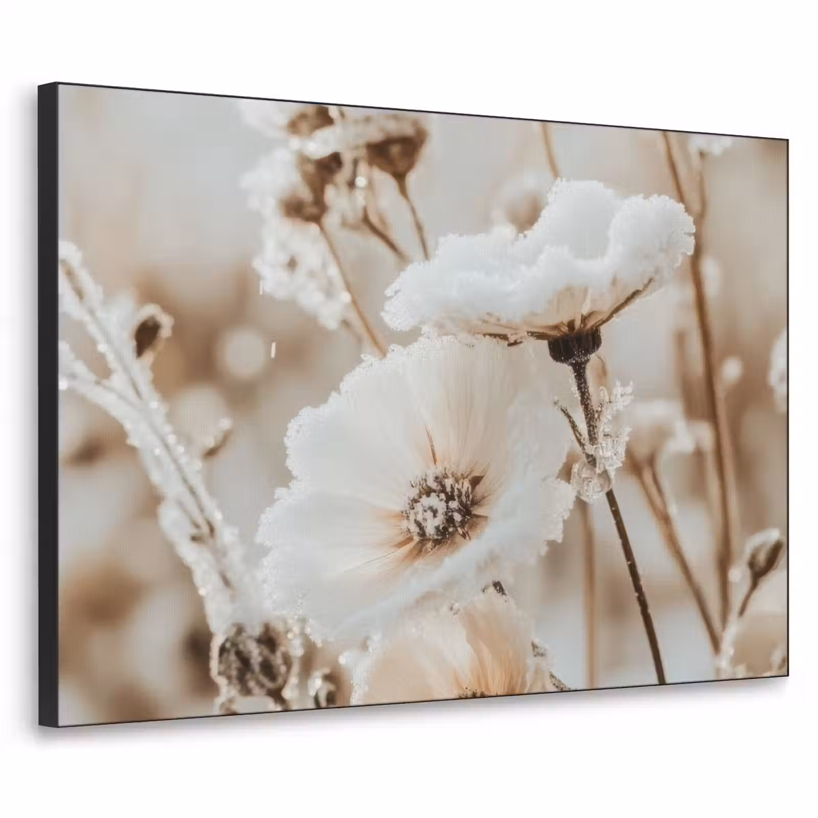 Art Frame - Bloemen - Winter - Wit - Sneeuw - Beige — 1