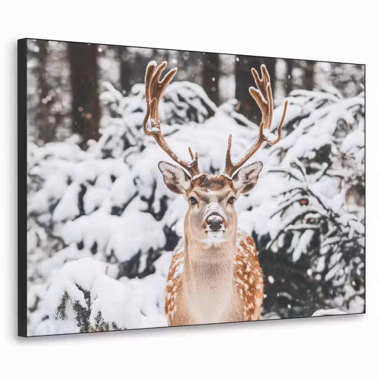 Art Frame - Hert - Sneeuw - Winter - Bos - Dieren — 1