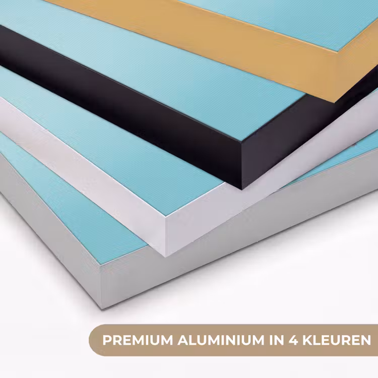 Art Frame - Suikerspin - Zoet - Snoep — 2