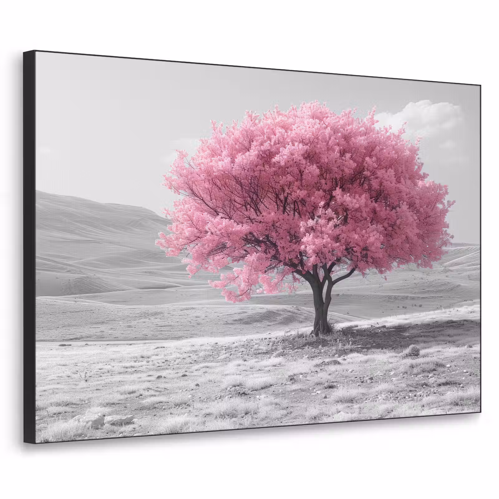 Art Frame - Boom - Natuur - Roze - Zwart wit — 1