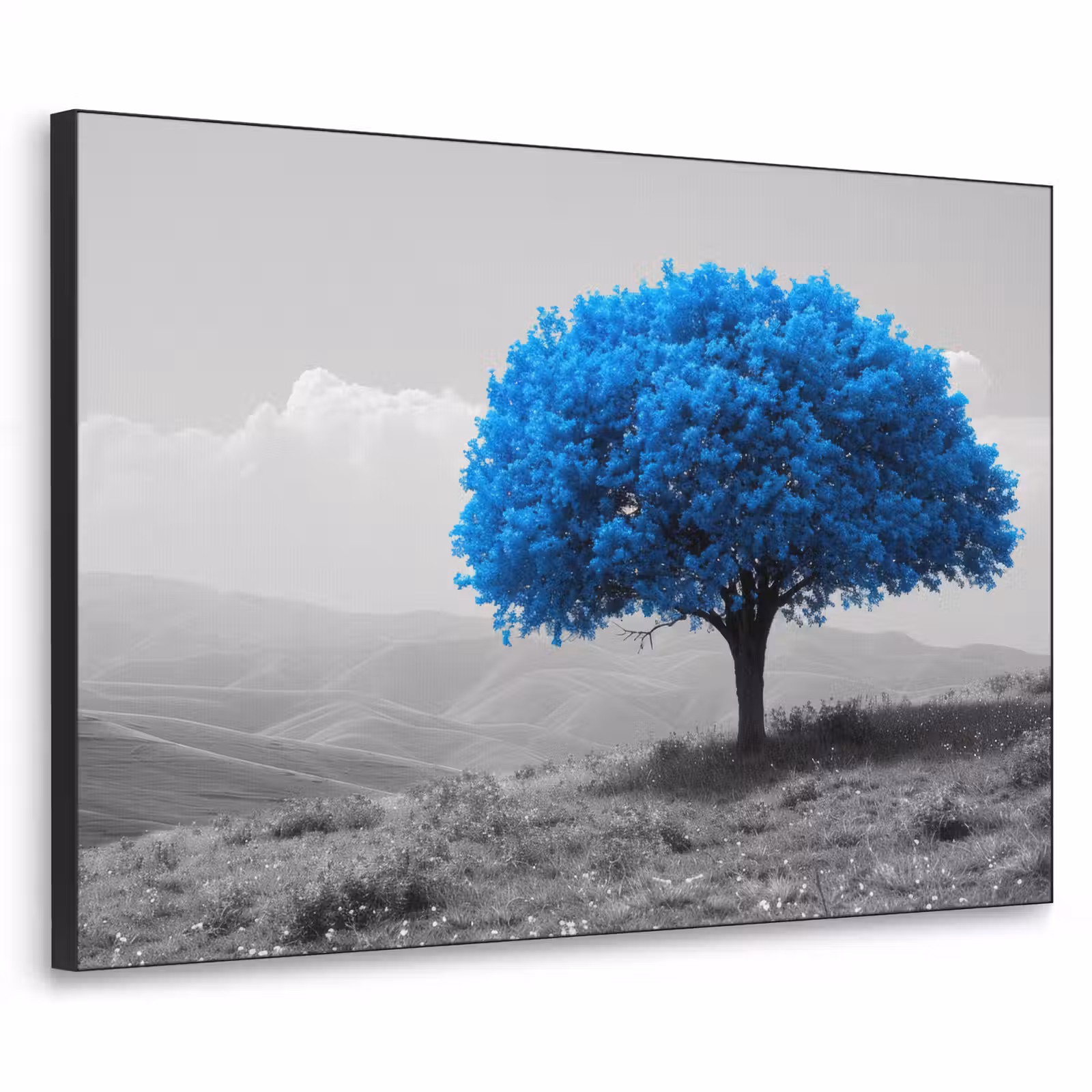 Art Frame - Boom - Natuur - Blauw - Zwart wit — 1