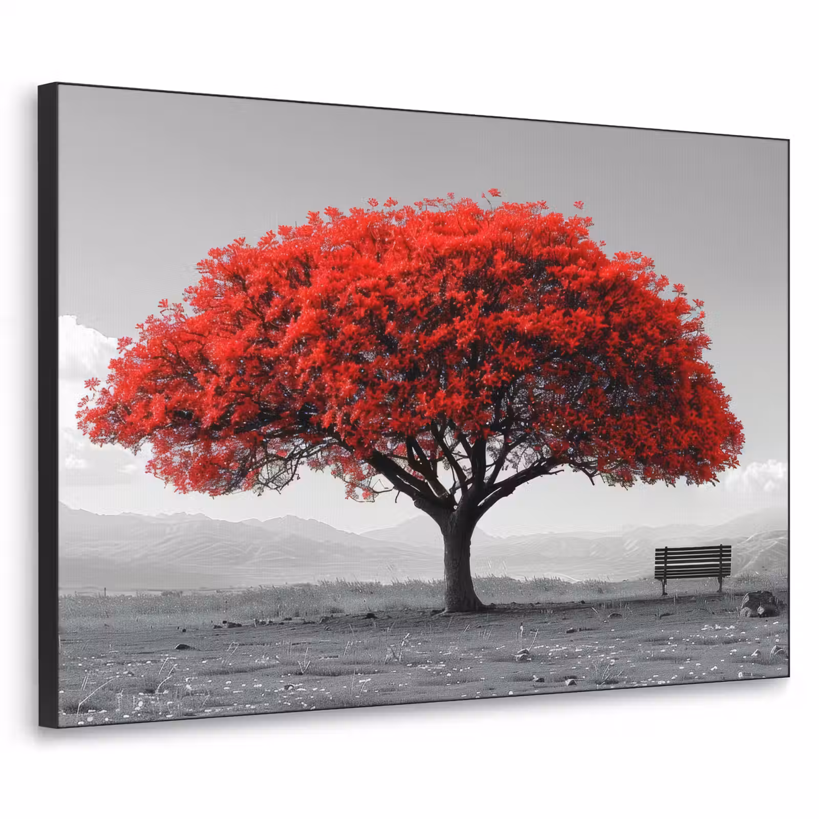 Art Frame - Boom - Rood - Natuur - Zwart wit — 1
