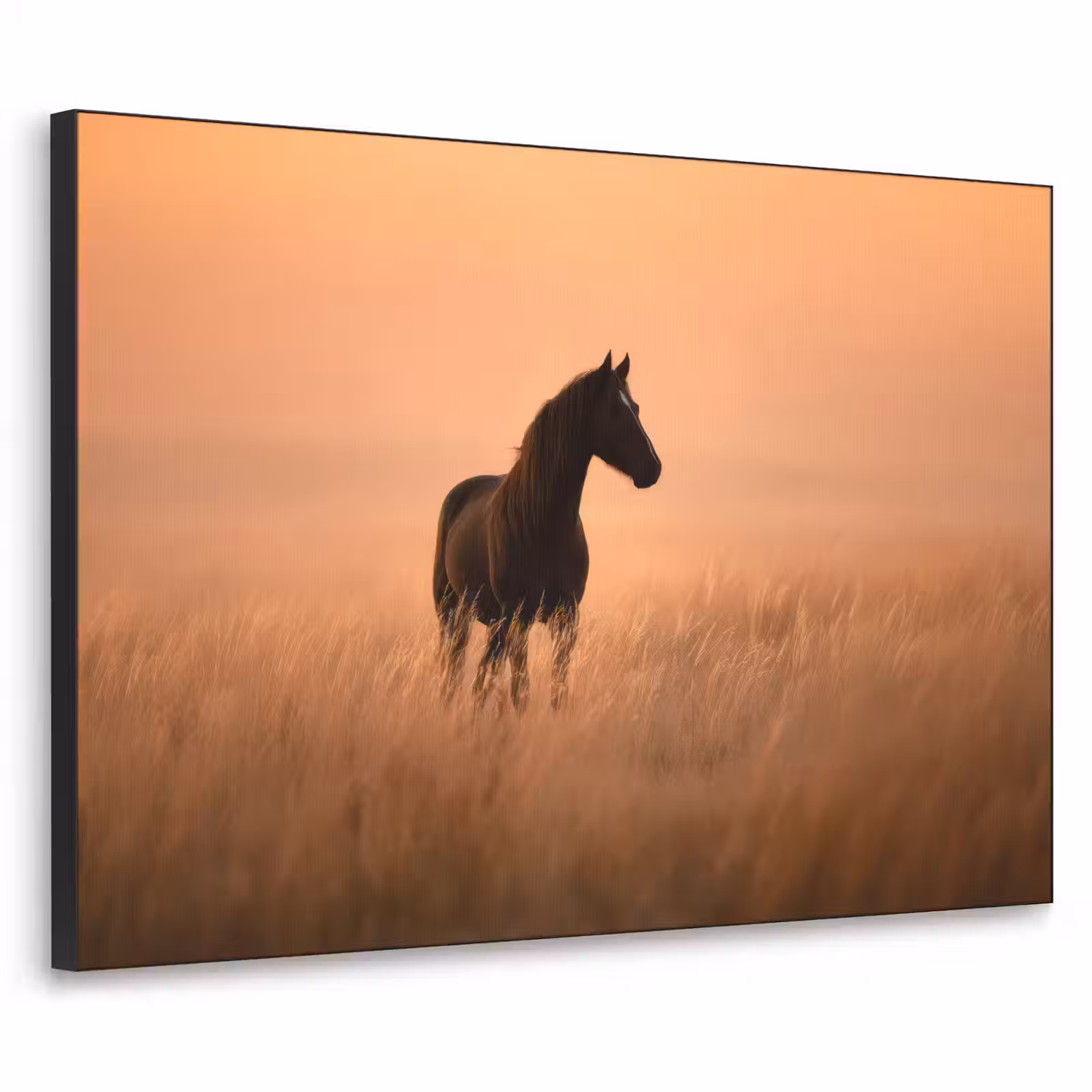 Art Frame - Paard - Grasveld - Zonsondergang — 1