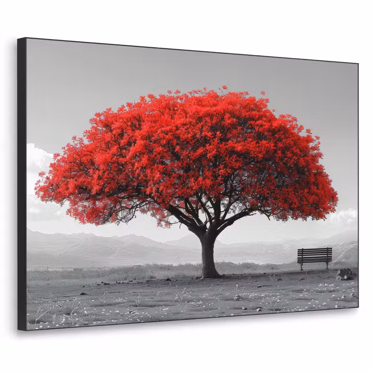 Art Frame - Boom - Rood - Natuur - Zwart wit — 1