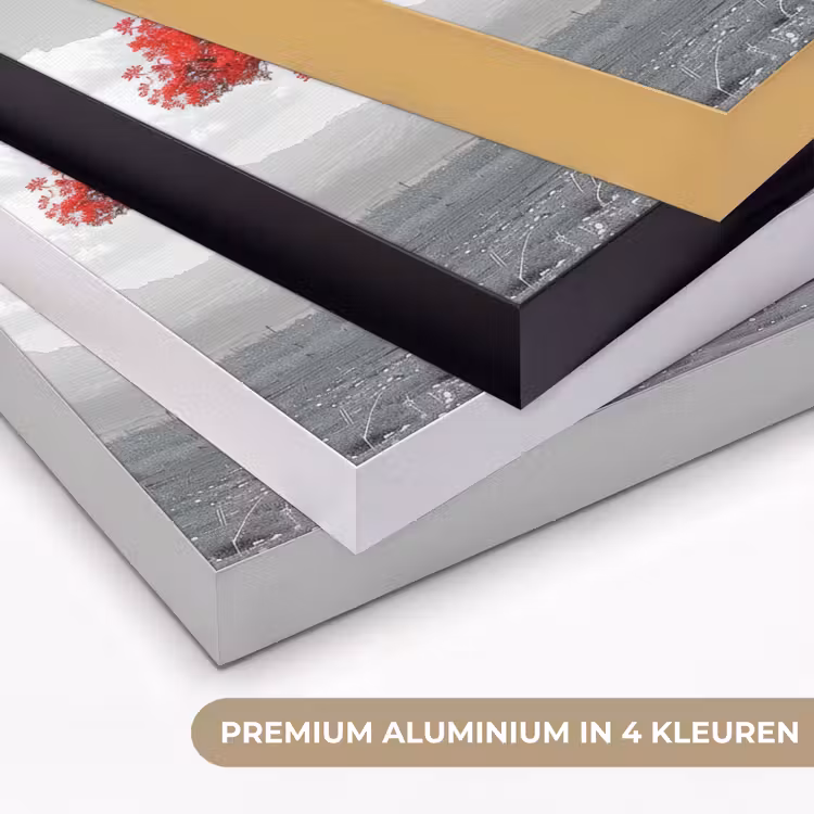Art Frame - Boom - Rood - Natuur - Zwart wit — 2