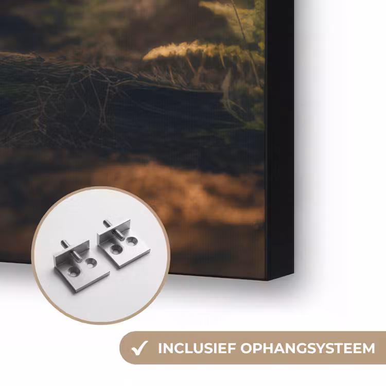 Art Frame - Konijn - Bos - Zonnestralen — 6
