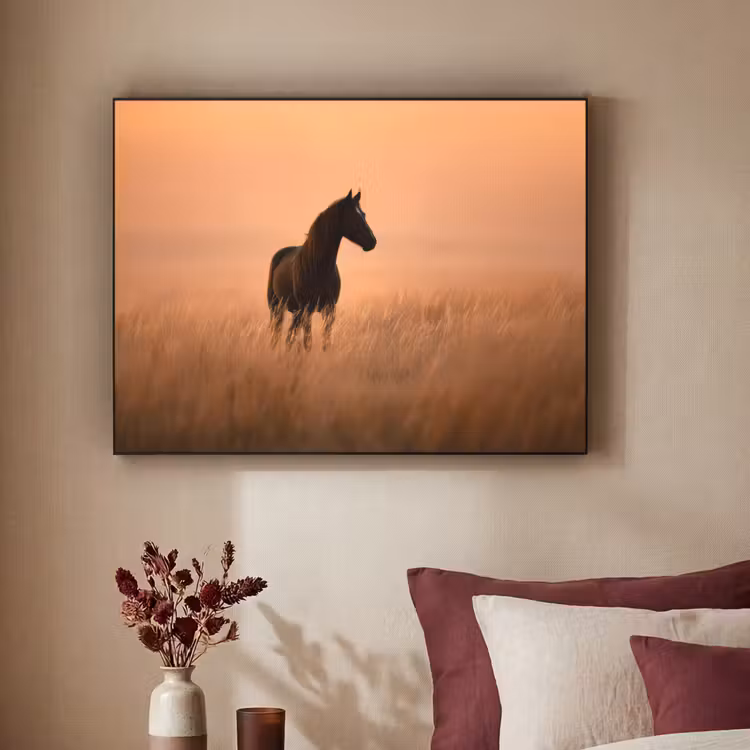 Art Frame - Paard - Grasveld - Zonsondergang — 3