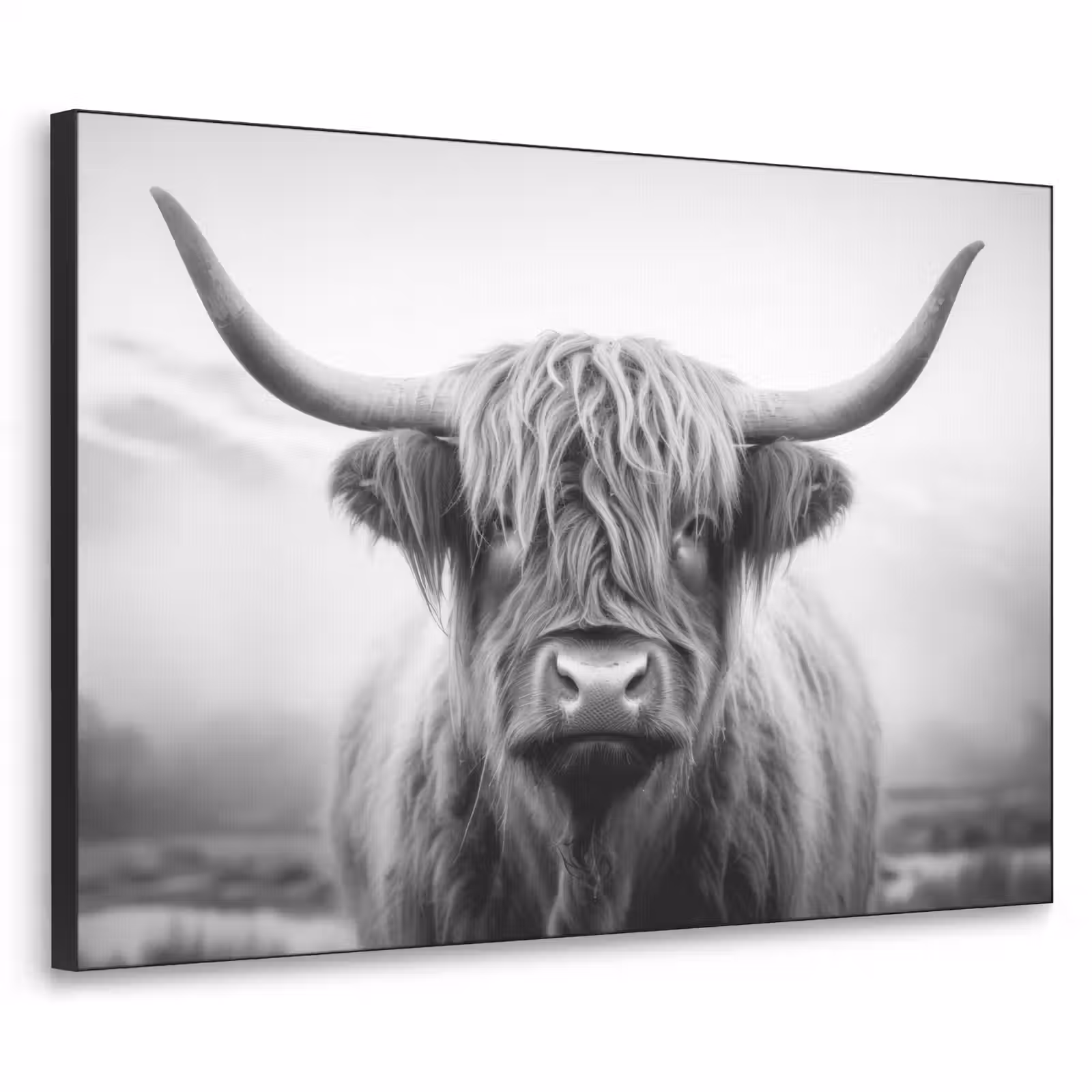 Art Frame - Schotse hooglander - Dieren portret - Zwart - Wit - Dier — 1
