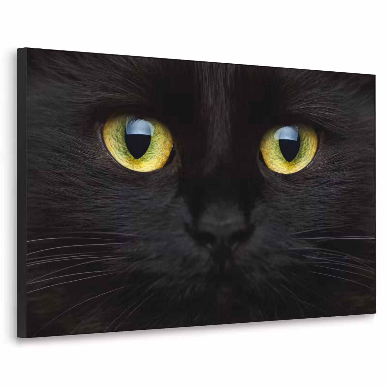 Art Frame - Kat - Zwart - Dieren - Natuur — 1