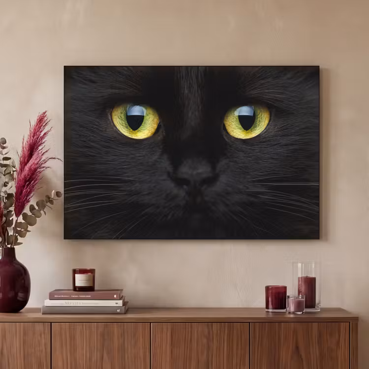 Art Frame - Kat - Zwart - Dieren - Natuur — 3