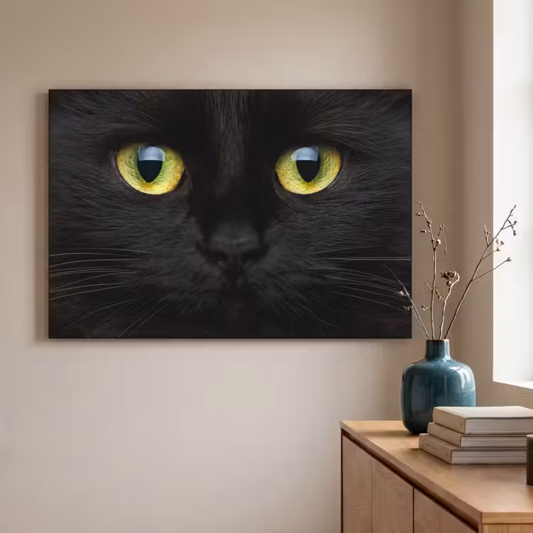 Art Frame - Kat - Zwart - Dieren - Natuur — 5