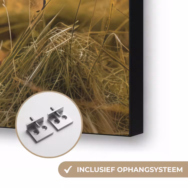Art Frame - Koe - Dier - Weiland - Gras - Dieren - Natuur — 6