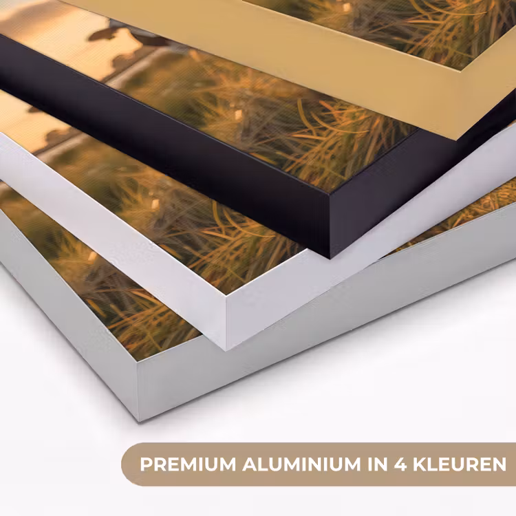 Art Frame - Koe - Weiland - Dieren portret - Natuur - Koeien — 2