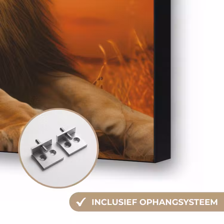 Art Frame - Leeuwen - Zonsondergang - Afrika - Savanne - Dieren — 6