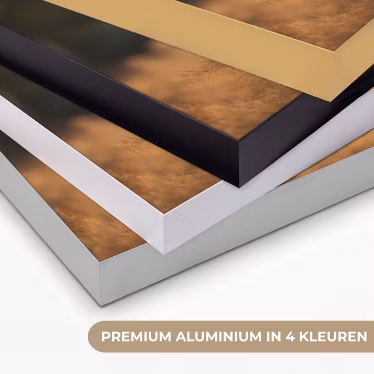 Art Frame - Paard - Bruin - Natuur - Weiland - Dier — 2
