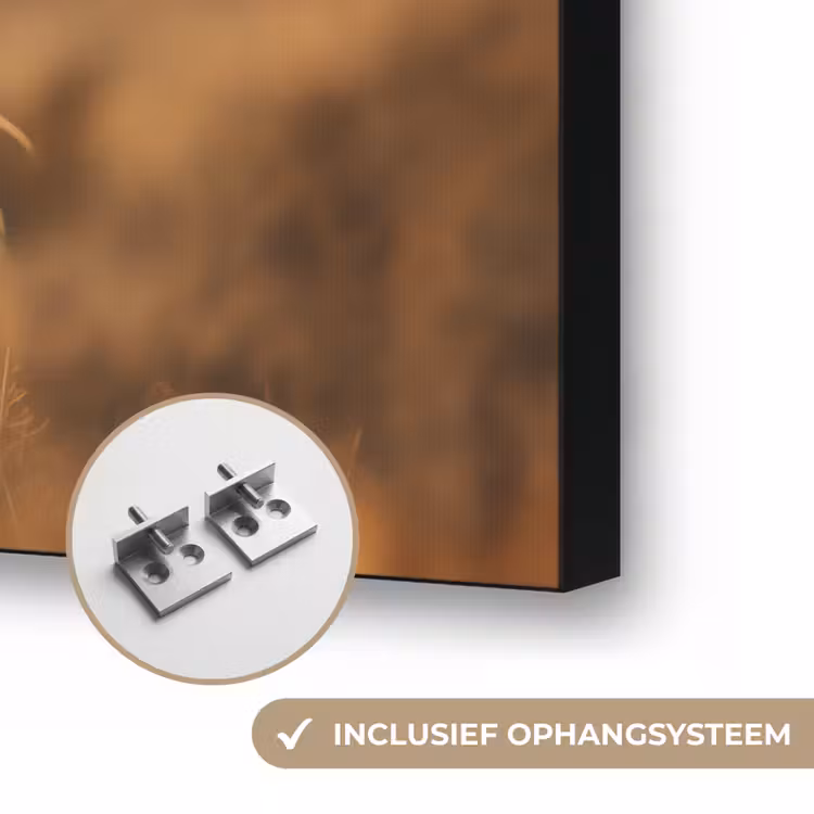 Art Frame - Paard - Bruin - Natuur - Weiland - Dier — 6