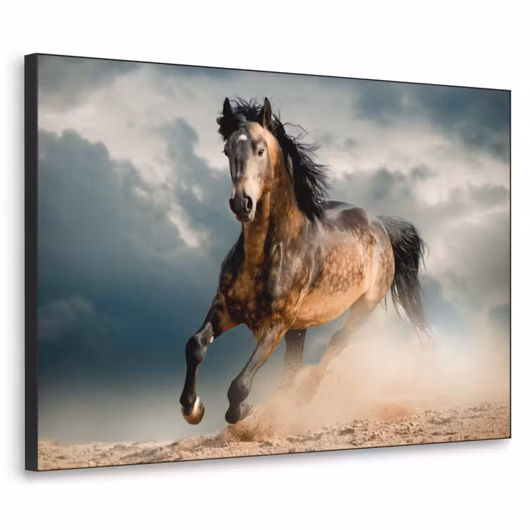 Art Frame - Paard - Dieren - Bruin - Natuur — 1
