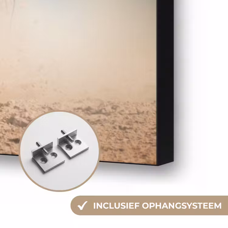 Art Frame - Paard - Dieren - Bruin - Natuur — 6