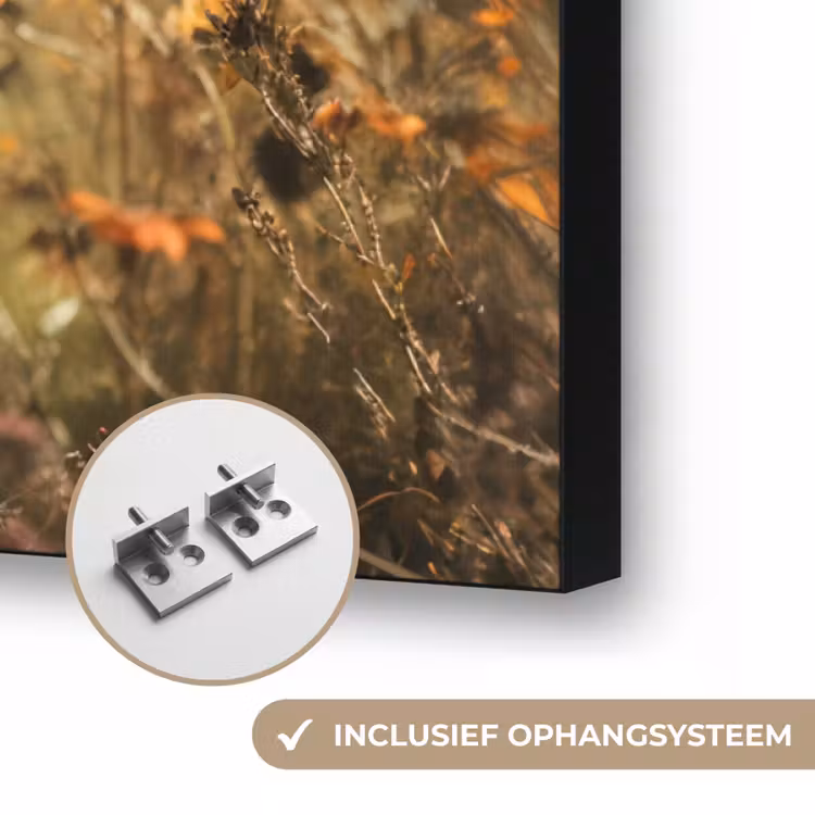 Art Frame - Schotse hooglander - Dieren portret - Natuur - Dier — 6