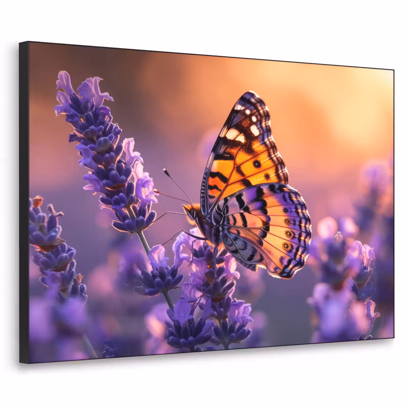 Art Frame - Bloemen - Vlinder - Lavendel - Bloem - Natuur — 1