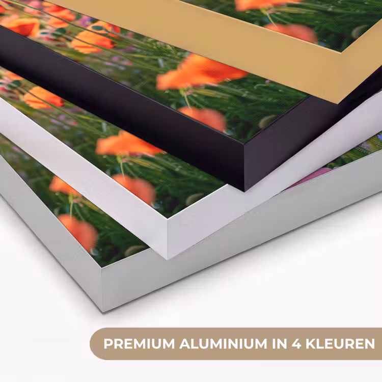 Art Frame - Bloemen - Klaprozen - Kleurrijk - Natuur — 2