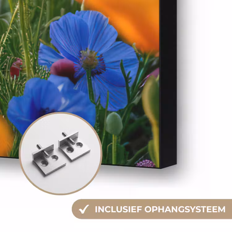 Art Frame - Bloemen - Klaprozen - Kleurrijk - Natuur — 6