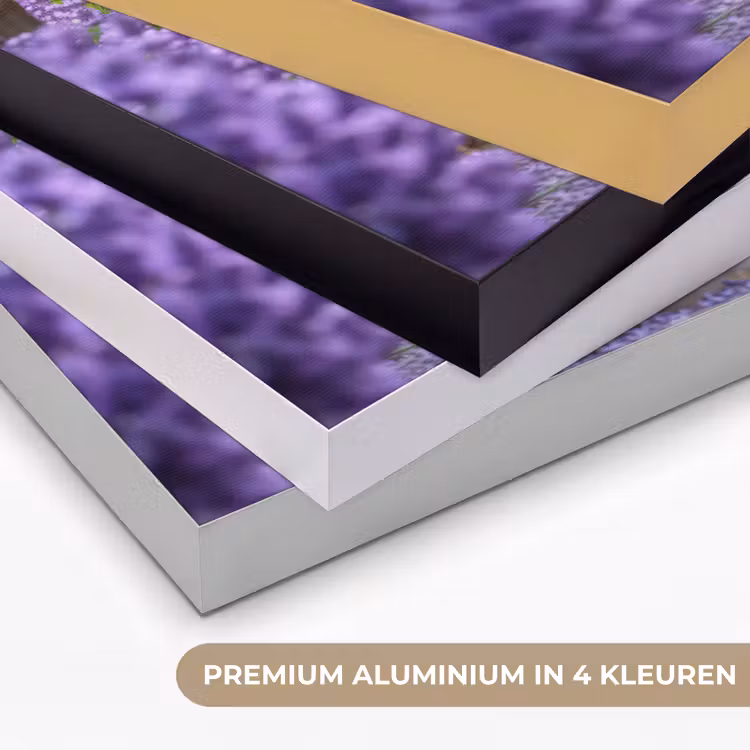 Art Frame - Bloemen - Pad - lavendel - Tuin — 2