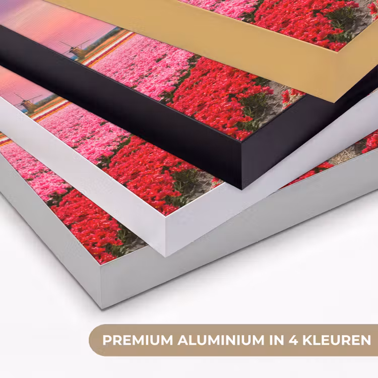 Art Frame - Bloemen - Tulpen - Bloemenveld - Molens - Holland — 2