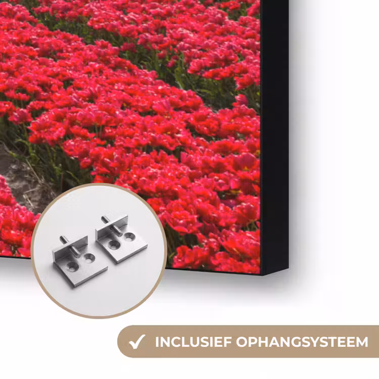 Art Frame - Bloemen - Tulpen - Bloemenveld - Molens - Holland — 6