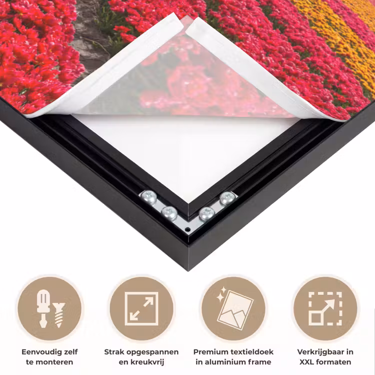Art Frame - Bloemen - Tulpen - Bloemenveld - Molens - Holland — 8
