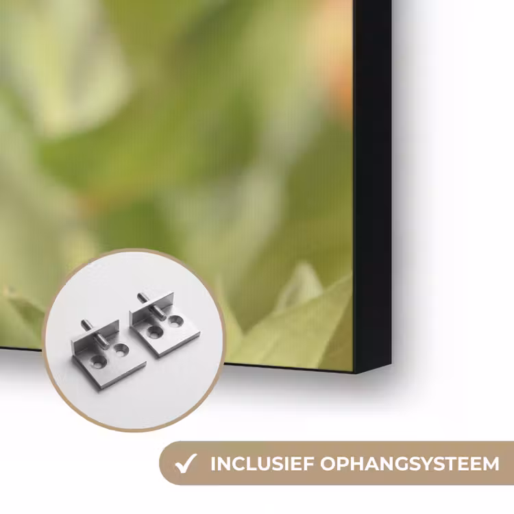 Art Frame - Bloemen - Vlinder - Natuur - Bloem — 6