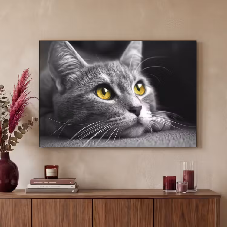 Art Frame - Kat - Zwart - Wit - Dieren - Natuur — 3