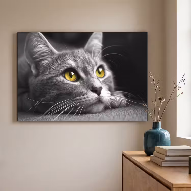 Art Frame - Kat - Zwart - Wit - Dieren - Natuur — 5
