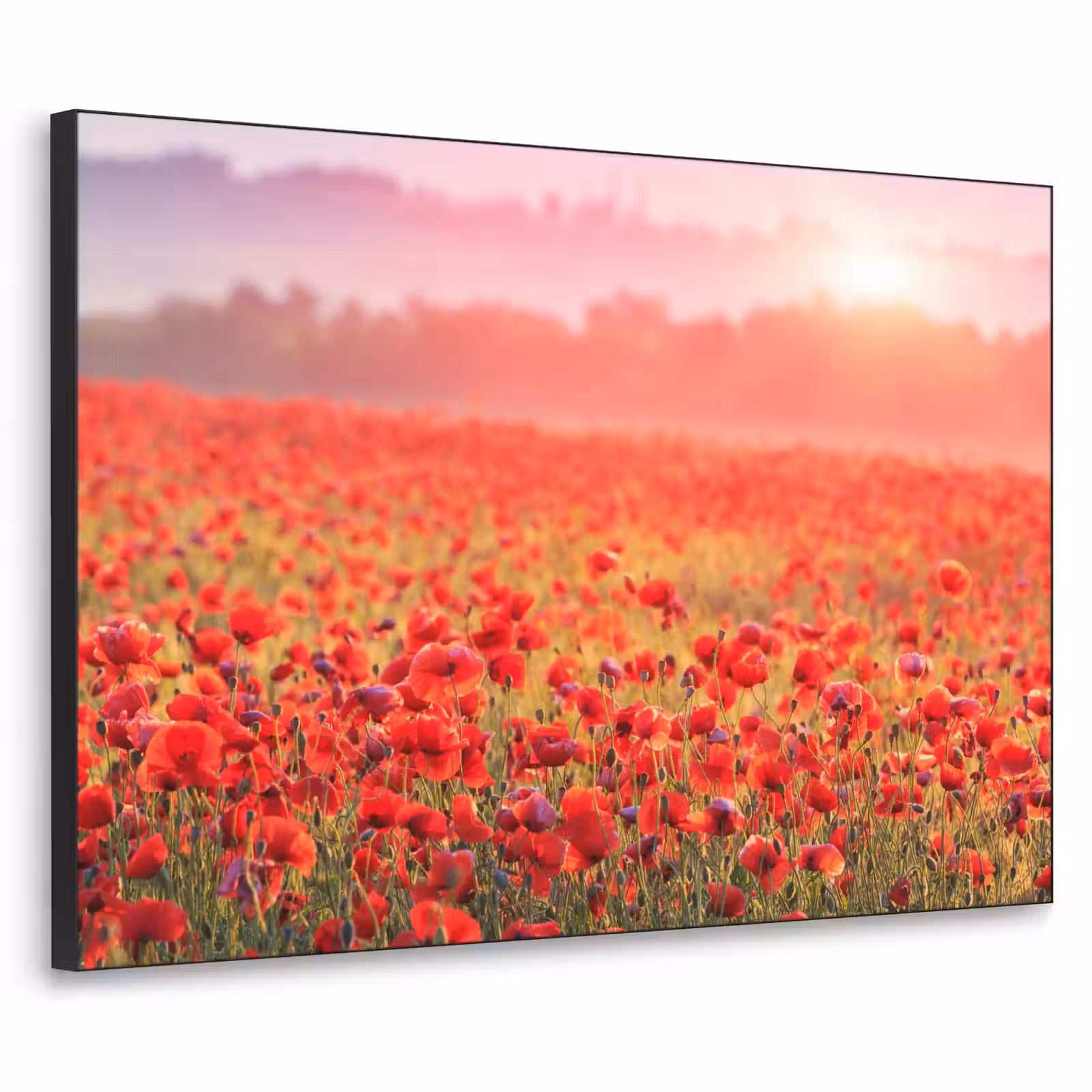 Art Frame - Bloemen - Klaprozen - Rood - Bloemenveld — 1