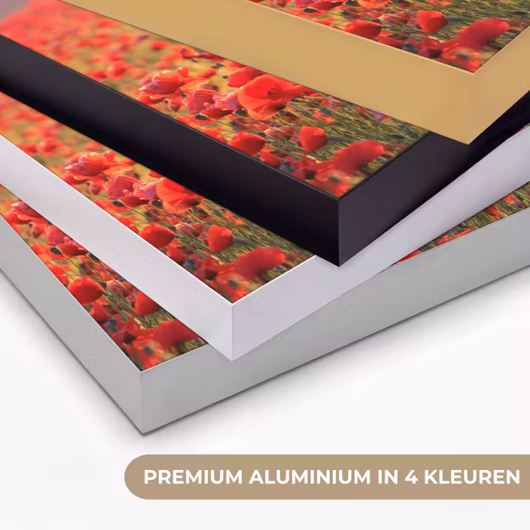 Art Frame - Bloemen - Klaprozen - Rood - Bloemenveld — 2